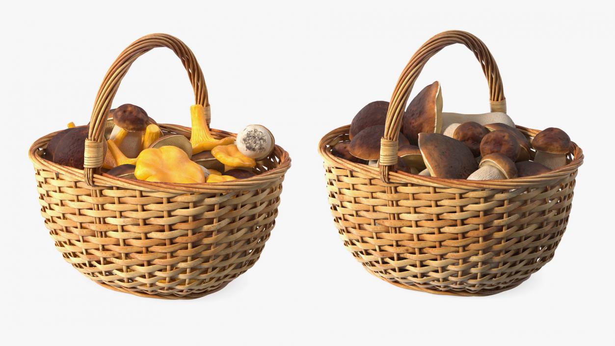 3D Baskets of Mushrooms Collection