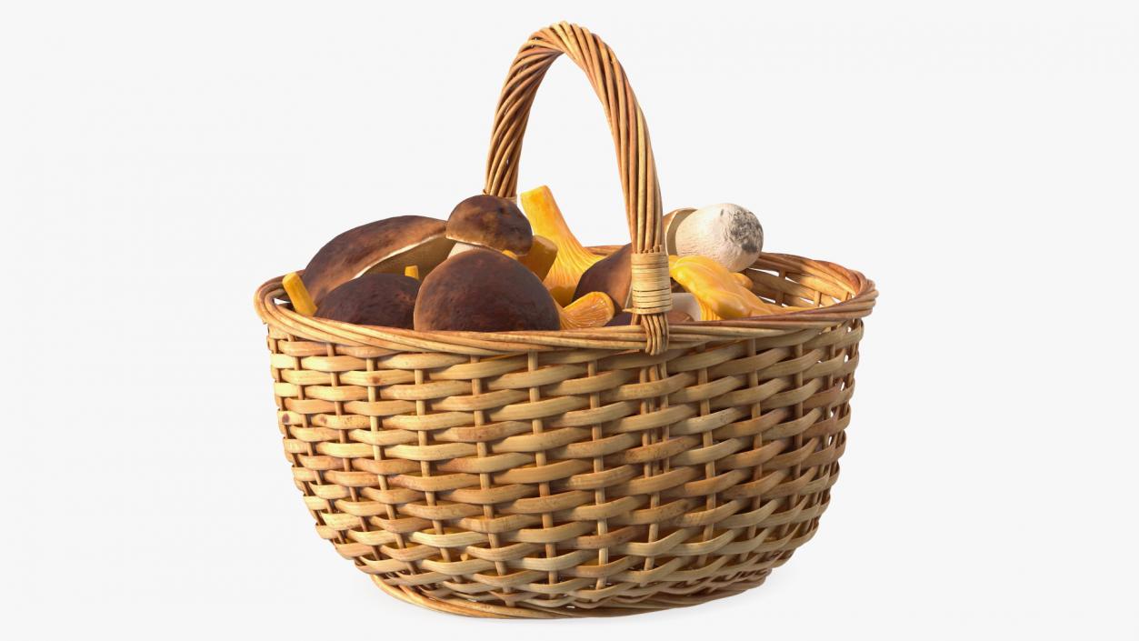 3D Baskets of Mushrooms Collection