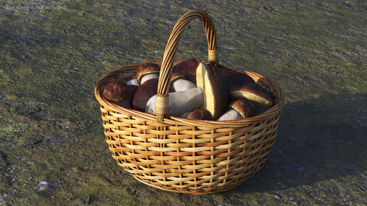 3D Baskets of Mushrooms Collection