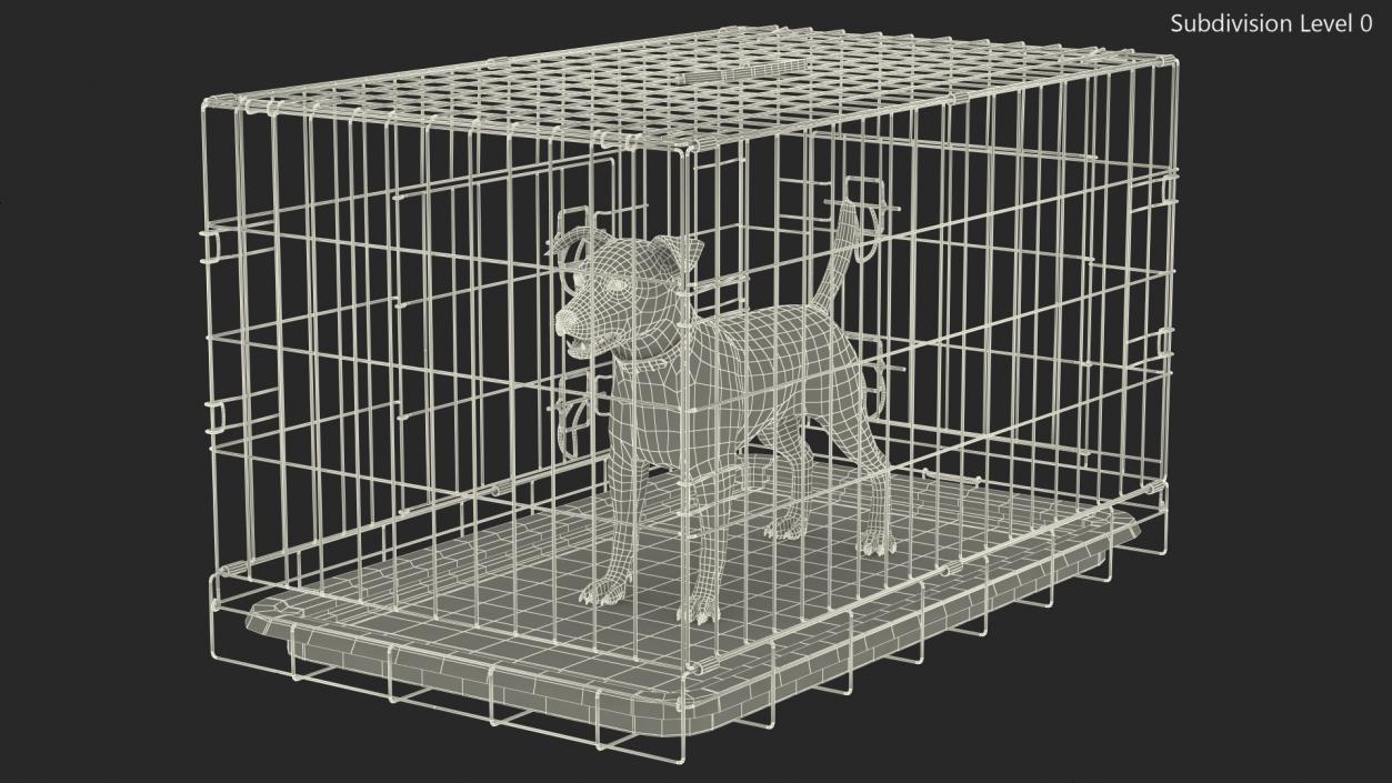 3D model Cage with Jack Russell Terrier