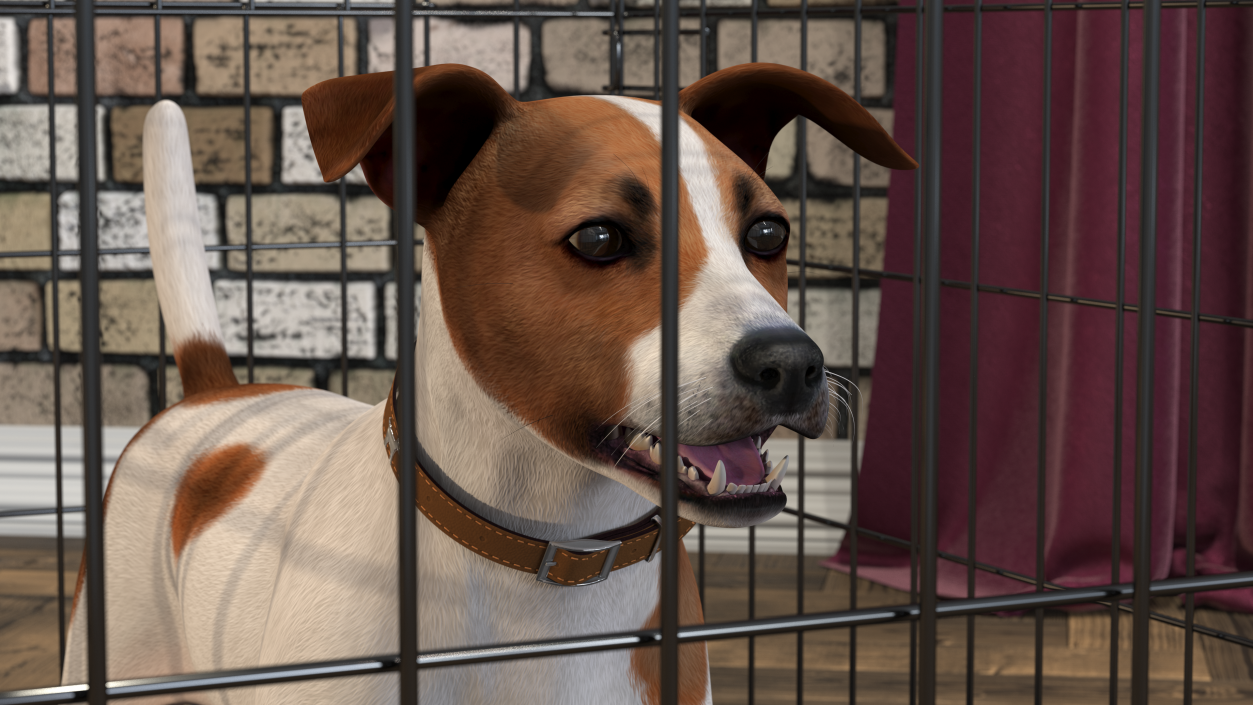 3D model Cage with Jack Russell Terrier