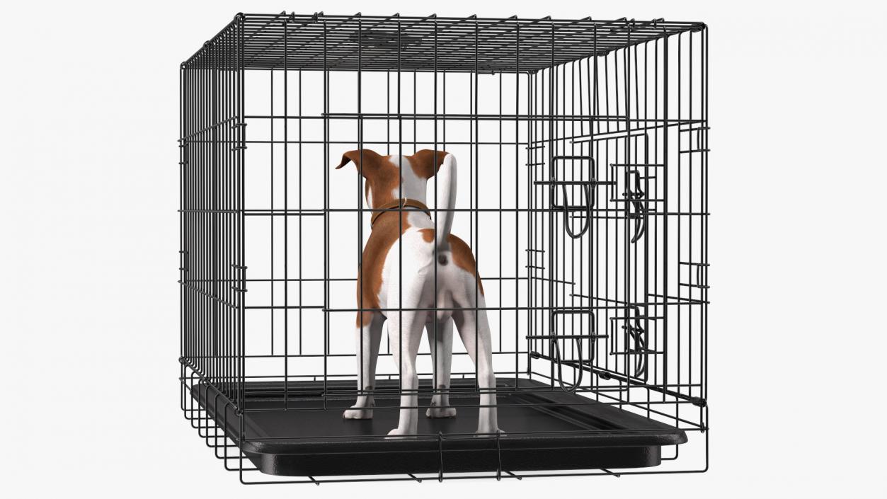 3D model Cage with Jack Russell Terrier