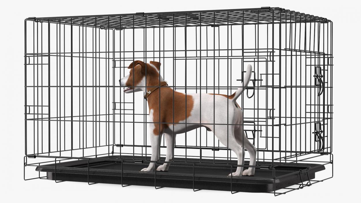 3D model Cage with Jack Russell Terrier