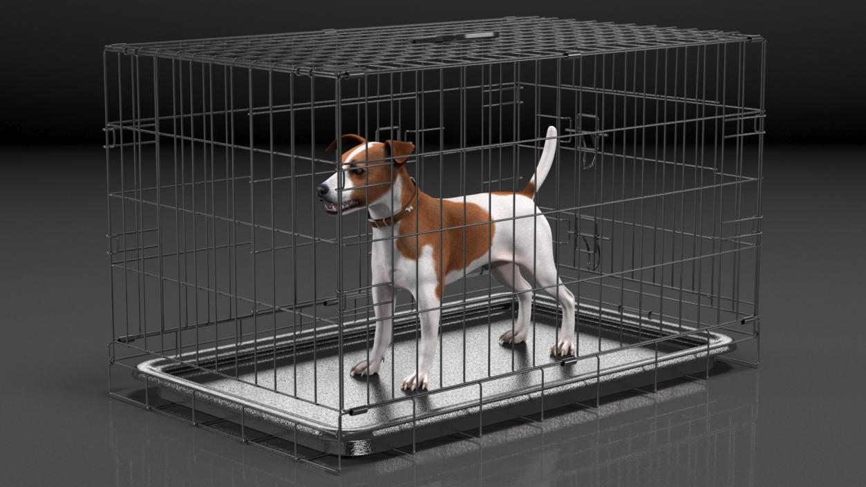 3D model Cage with Jack Russell Terrier