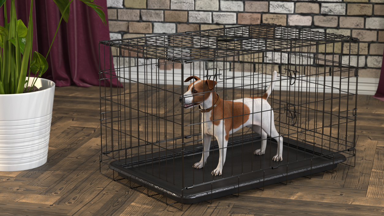 3D model Cage with Jack Russell Terrier