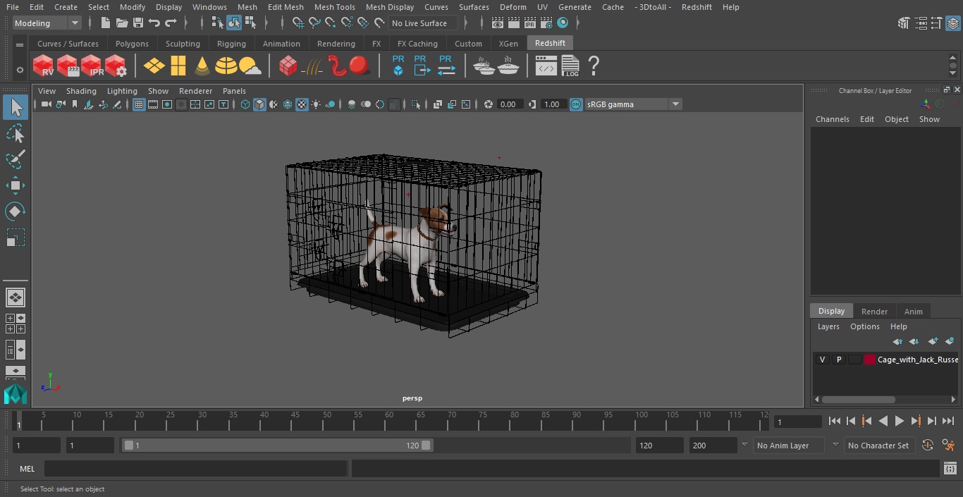 3D model Cage with Jack Russell Terrier