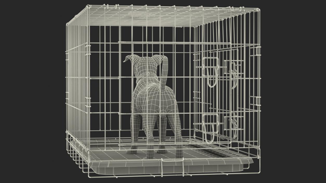 3D model Cage with Jack Russell Terrier