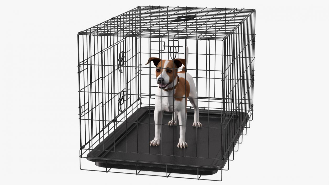 3D model Cage with Jack Russell Terrier