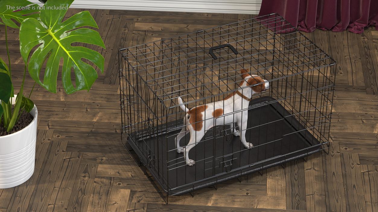 3D model Cage with Jack Russell Terrier