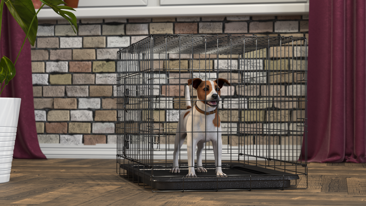 3D model Cage with Jack Russell Terrier