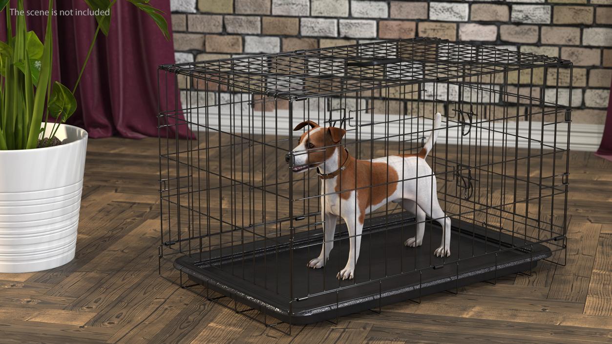 3D model Cage with Jack Russell Terrier