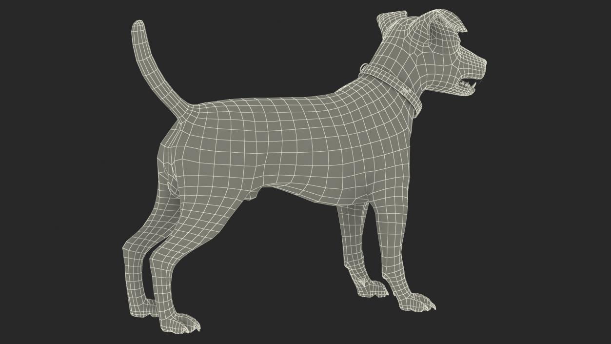 3D model Cage with Jack Russell Terrier