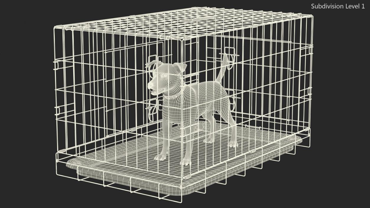 3D model Cage with Jack Russell Terrier