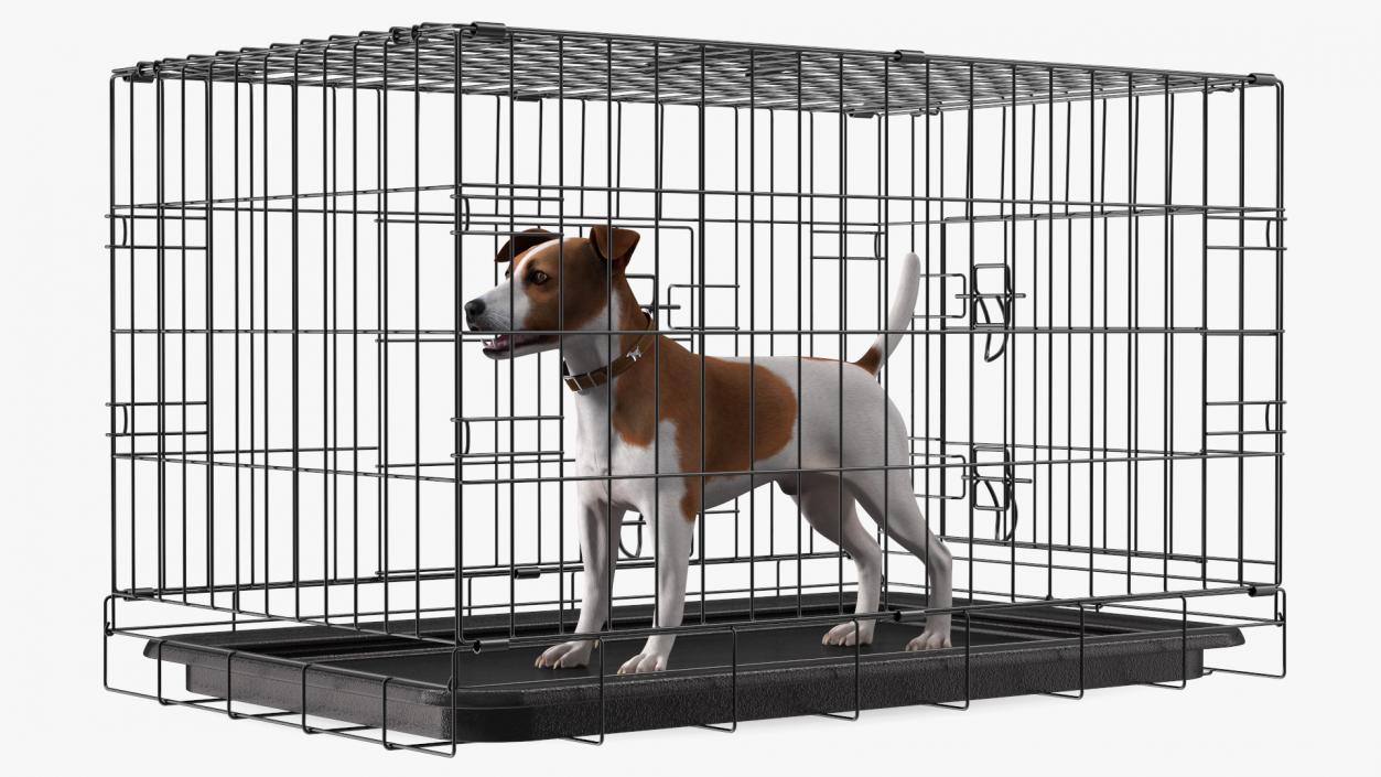 3D model Cage with Jack Russell Terrier