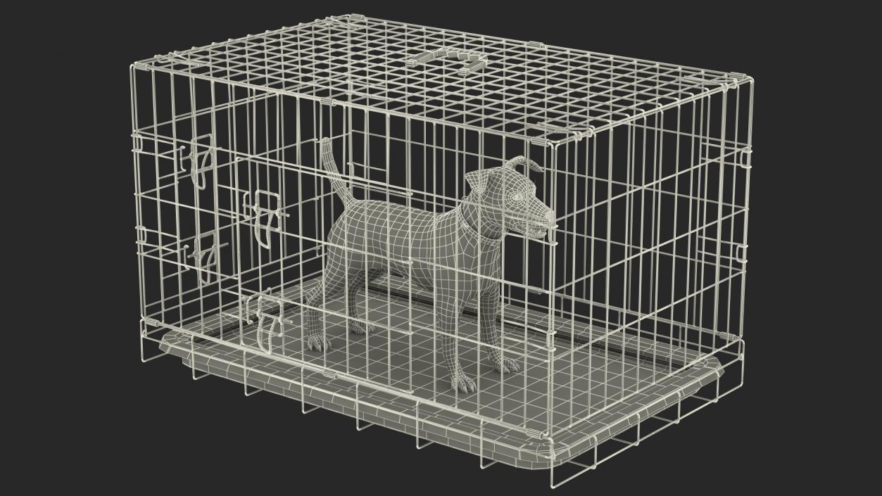 3D model Cage with Jack Russell Terrier