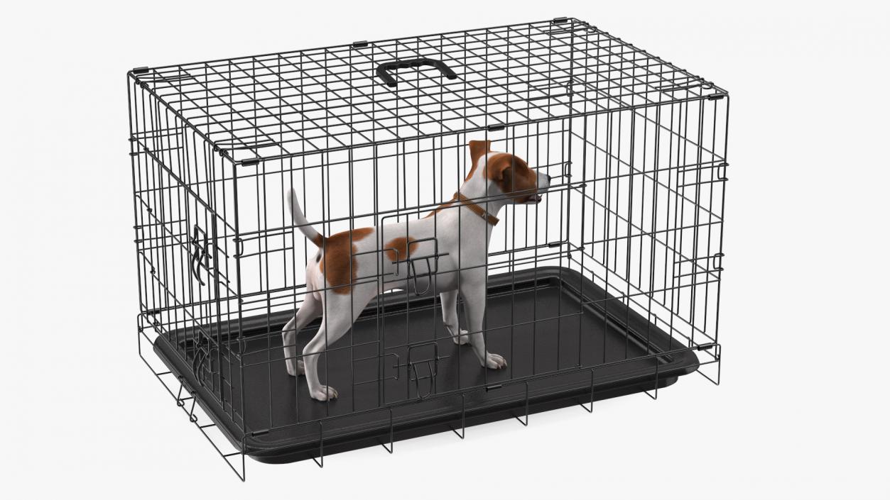 3D model Cage with Jack Russell Terrier