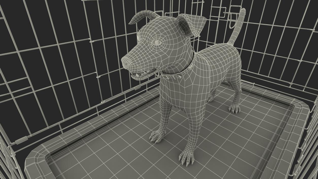 3D model Cage with Jack Russell Terrier