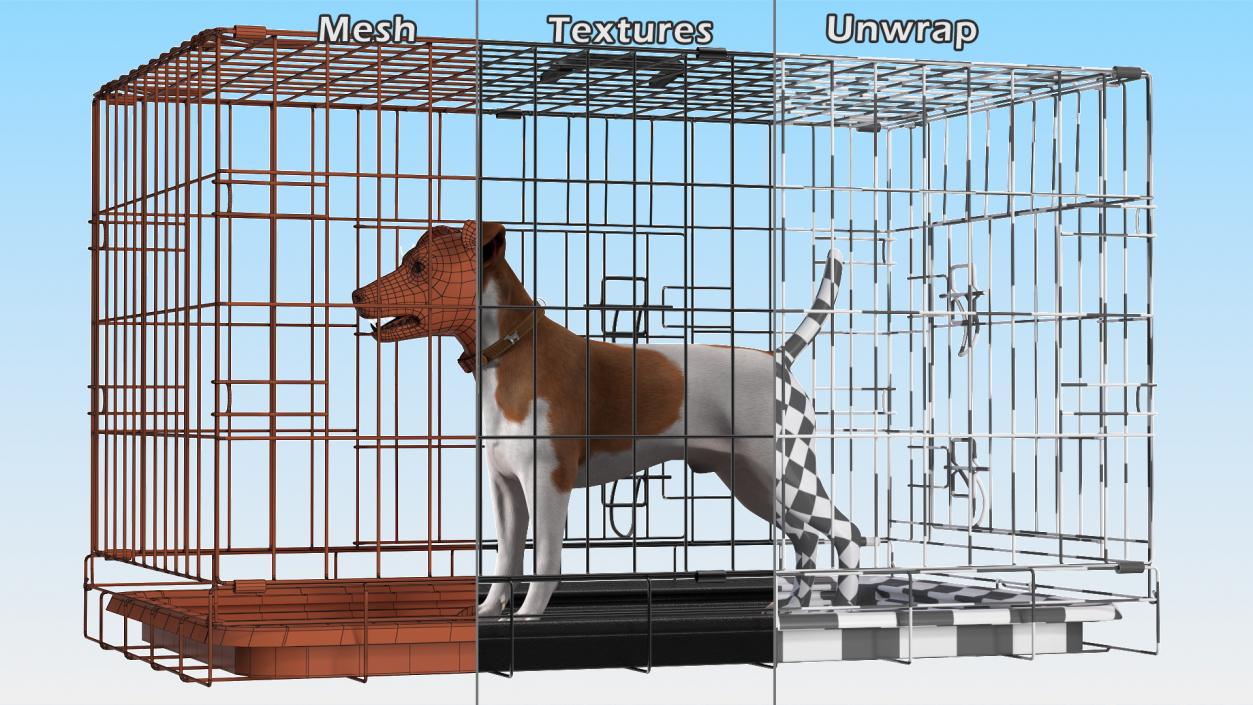 3D model Cage with Jack Russell Terrier