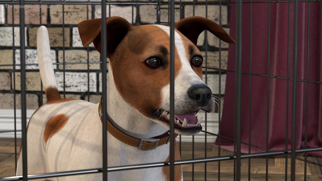 3D model Cage with Jack Russell Terrier