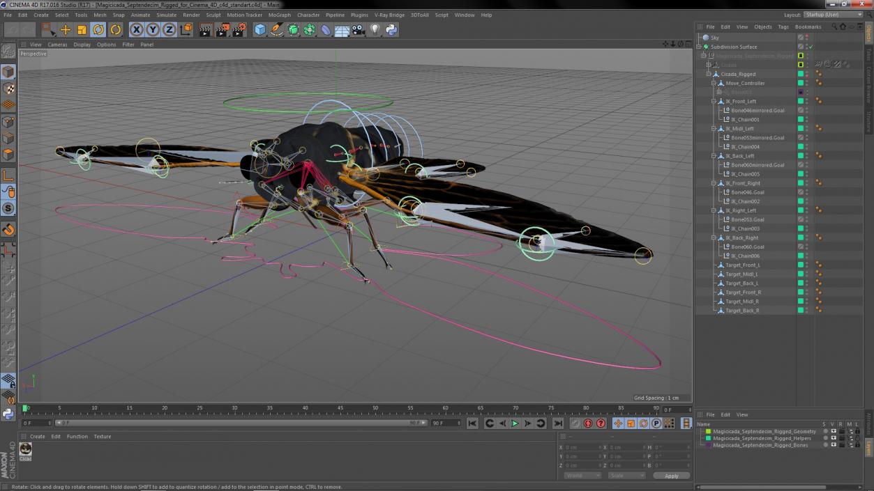 3D Magicicada Septendecim Rigged for Cinema 4D model