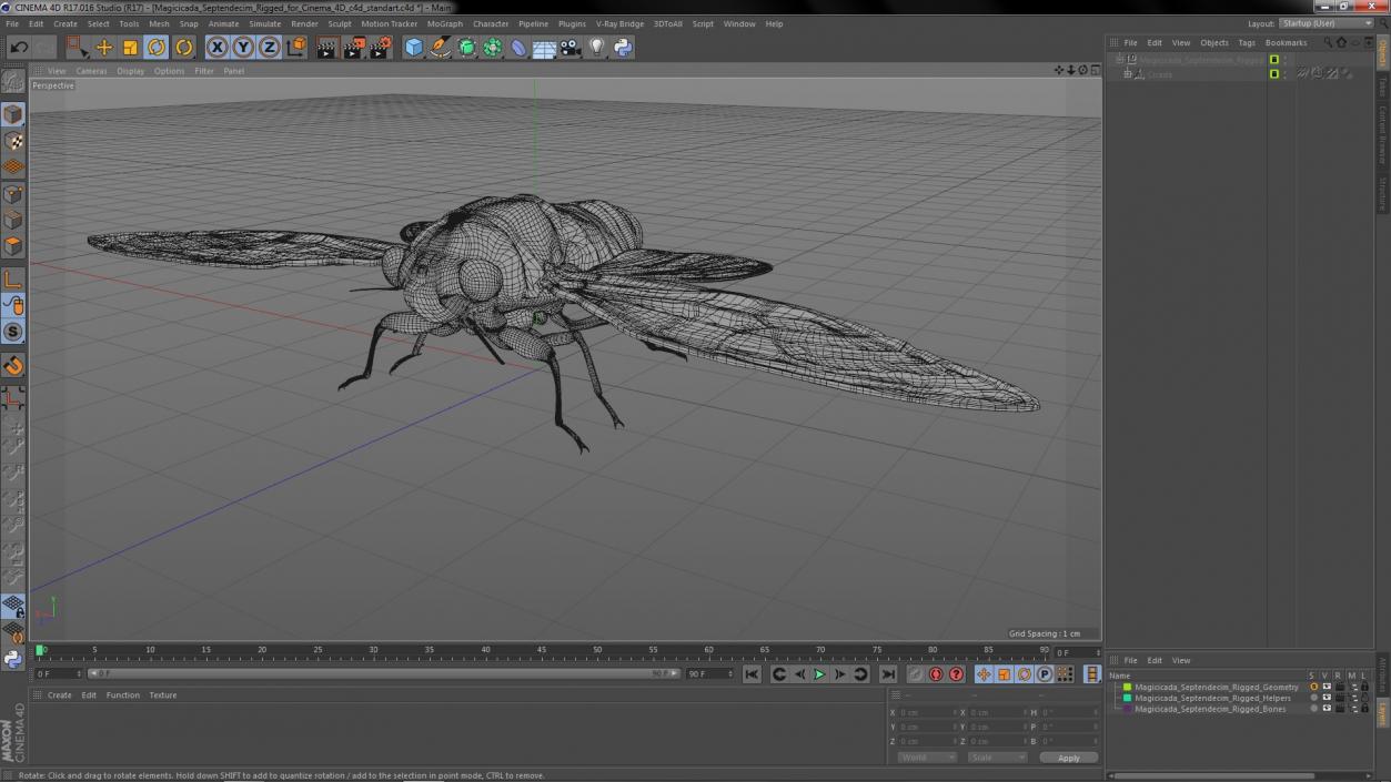 3D Magicicada Septendecim Rigged for Cinema 4D model