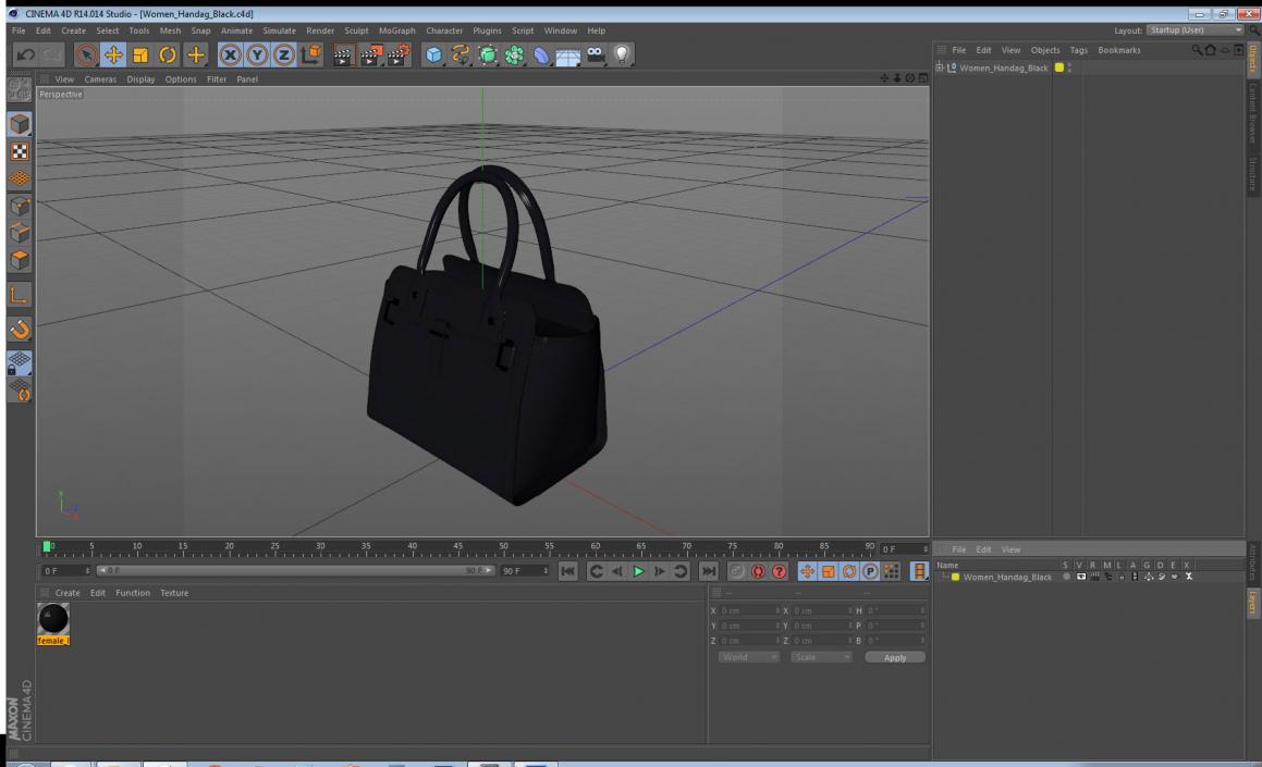 3D Women Handag Black model