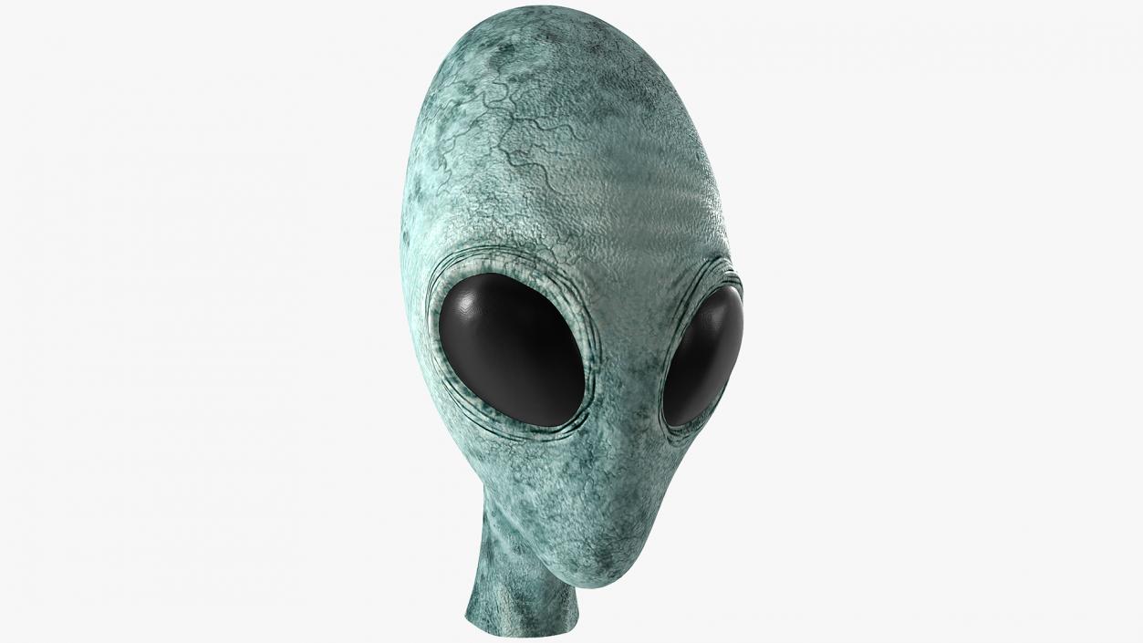 Extraterrestrial Alien Head 3D