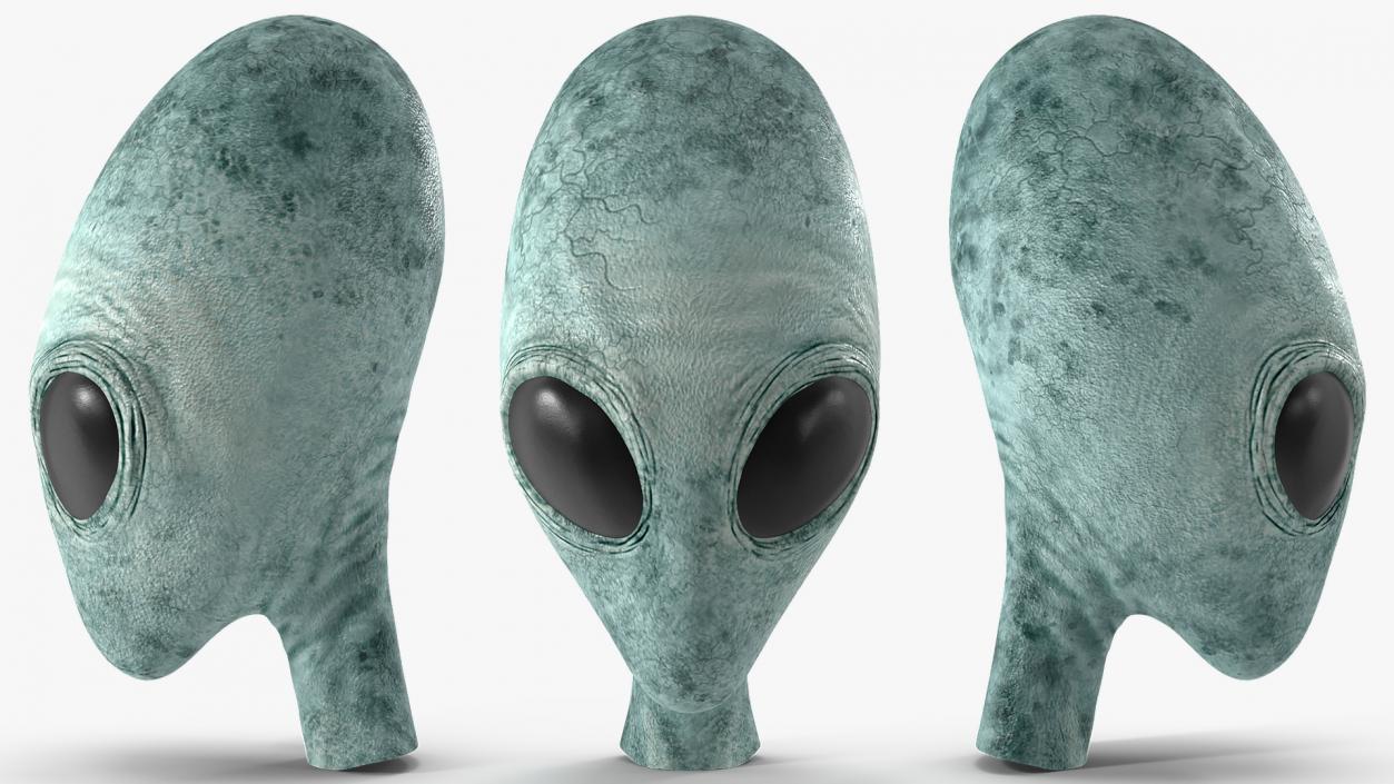 Extraterrestrial Alien Head 3D