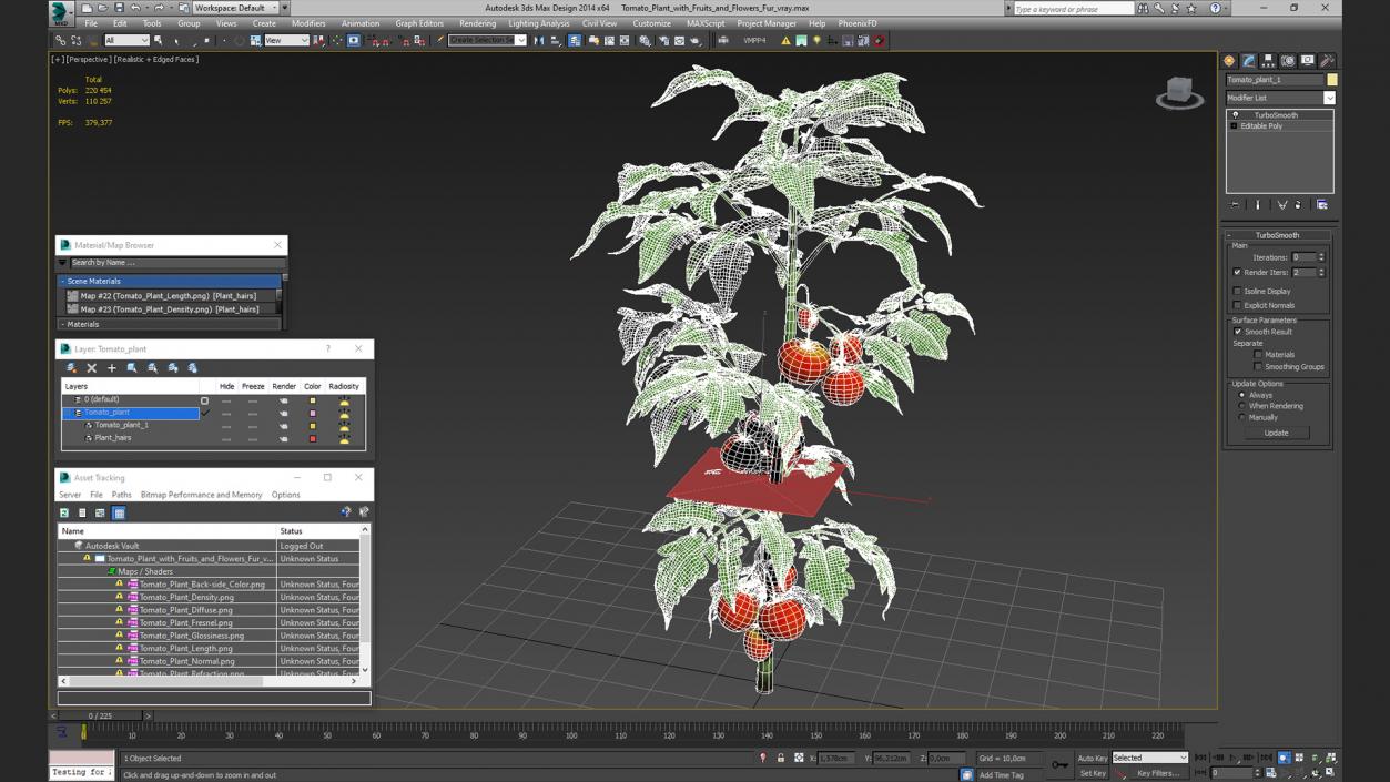 3D Tomato Plant with Fruits and Flowers