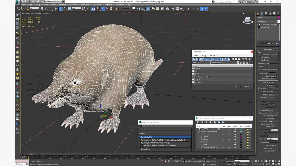 3D Mole-like Mammal Desman model