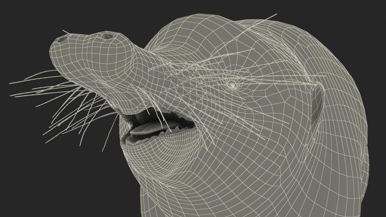 3D Mole-like Mammal Desman model