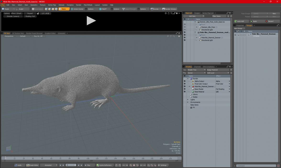 3D Mole-like Mammal Desman model