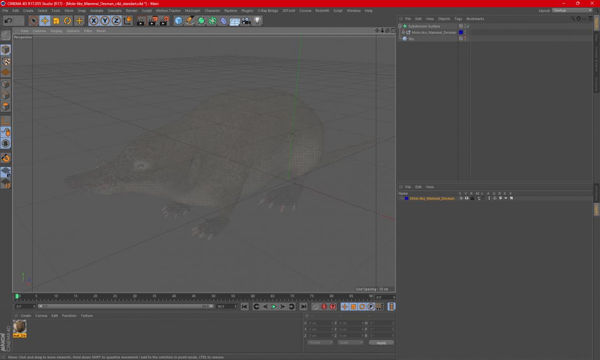 3D Mole-like Mammal Desman model