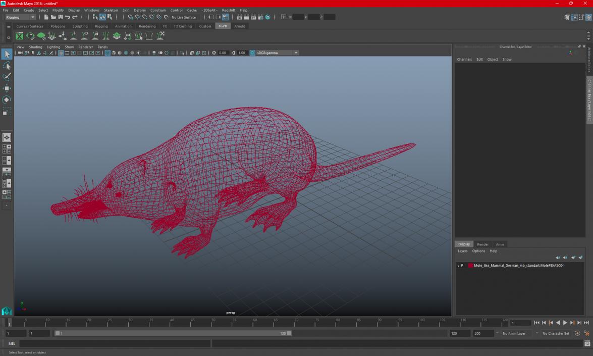 3D Mole-like Mammal Desman model