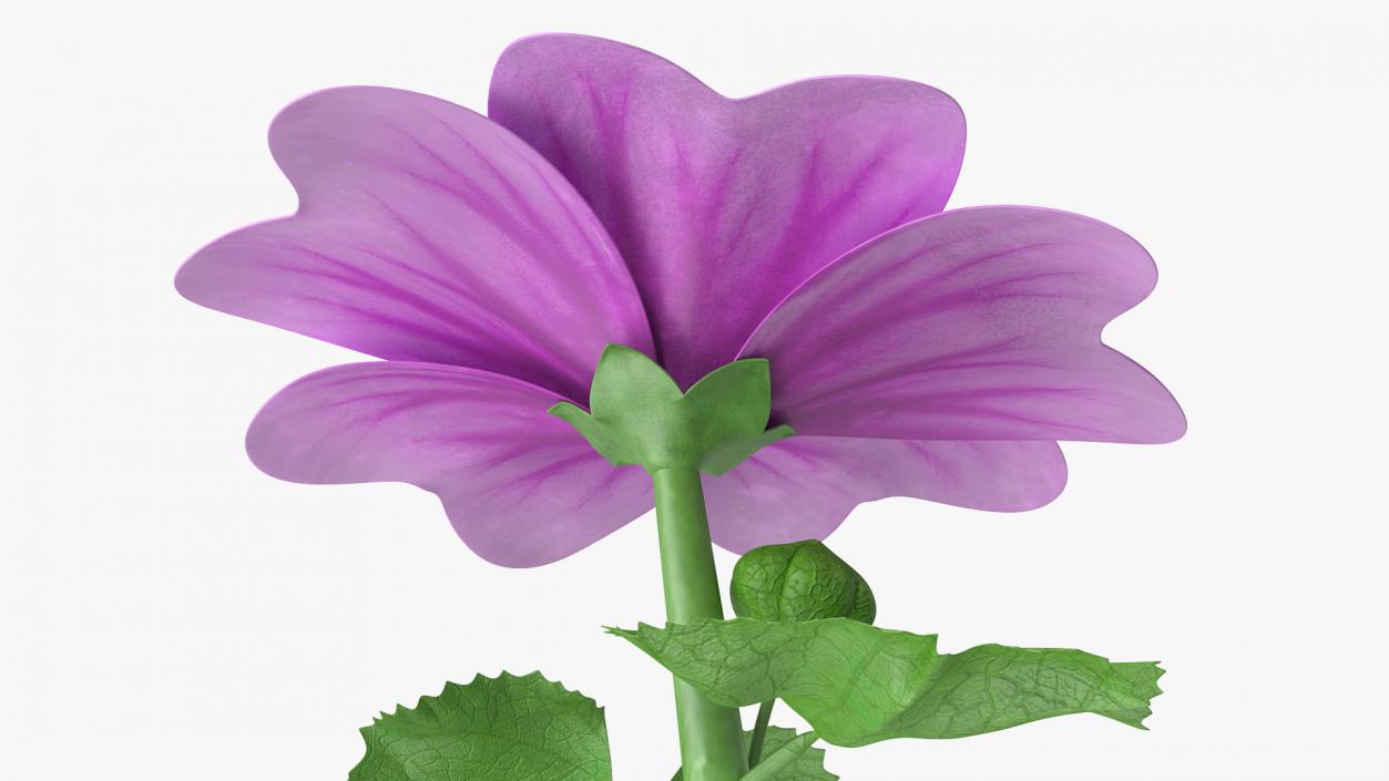 Mallow Plant 3D