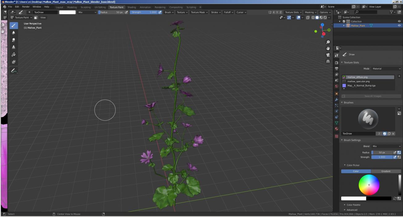 Mallow Plant 3D