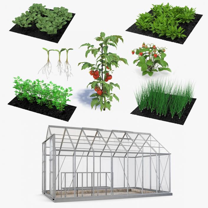 3D Garden Greenhouse with Grows Collection 5