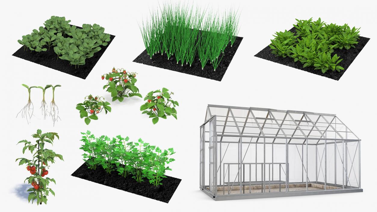 3D Garden Greenhouse with Grows Collection 5