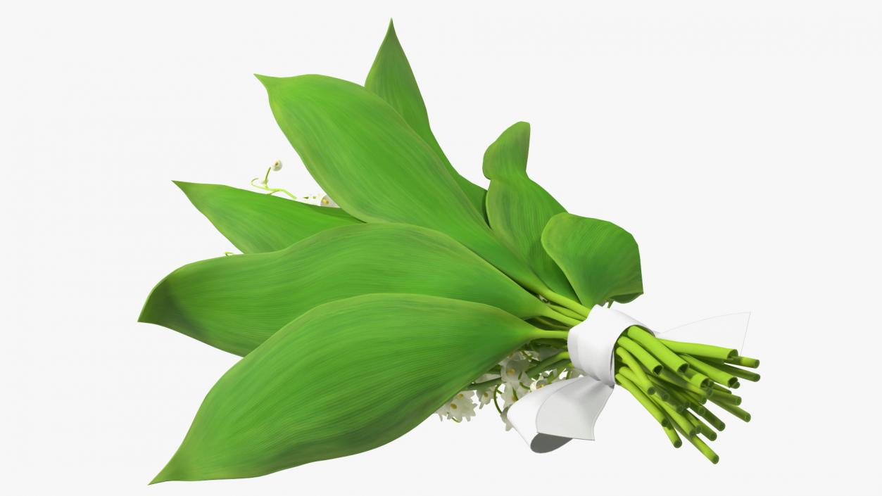 3D Lily of the Valley Bouquet