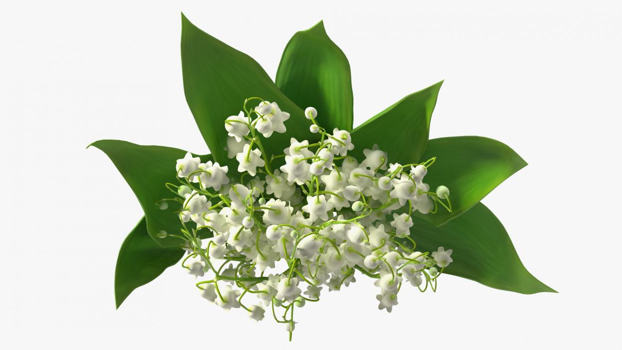 3D Lily of the Valley Bouquet