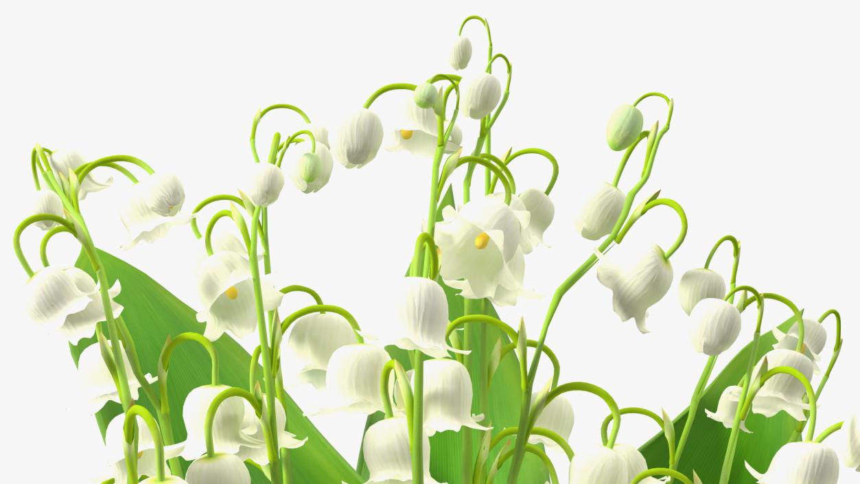 3D Lily of the Valley Bouquet