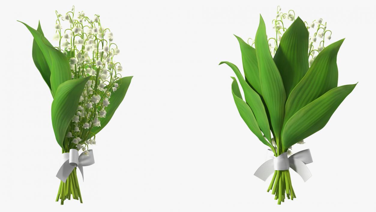 3D Lily of the Valley Bouquet