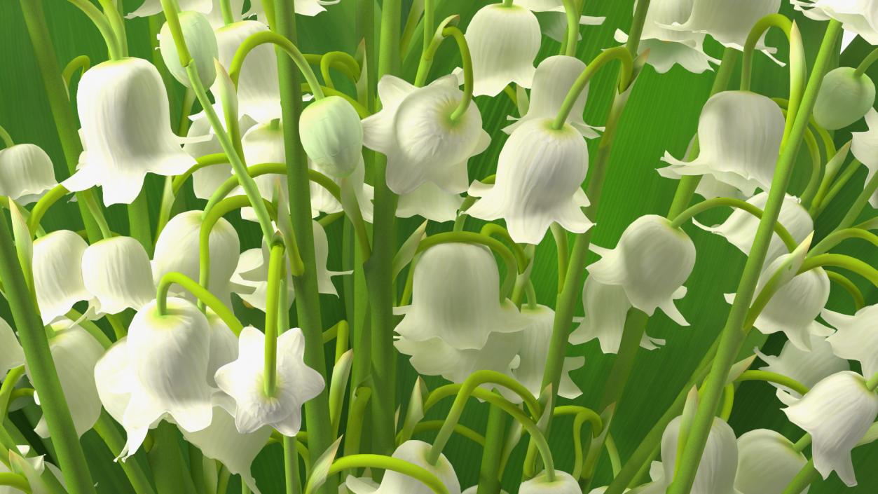 3D Lily of the Valley Bouquet