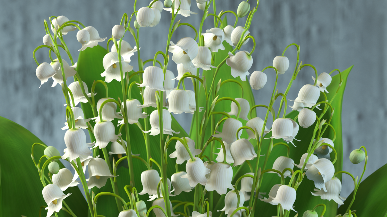 3D Lily of the Valley Bouquet