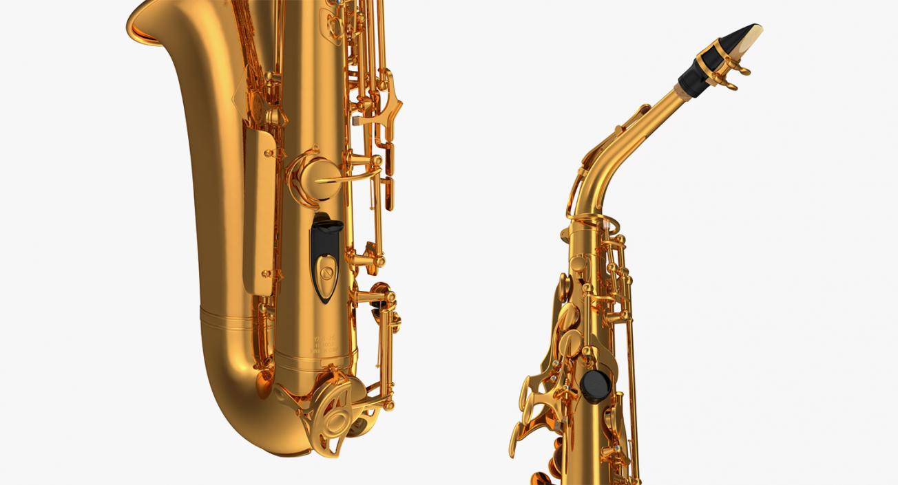 Wind Instruments 3D Models Collection 4 3D model