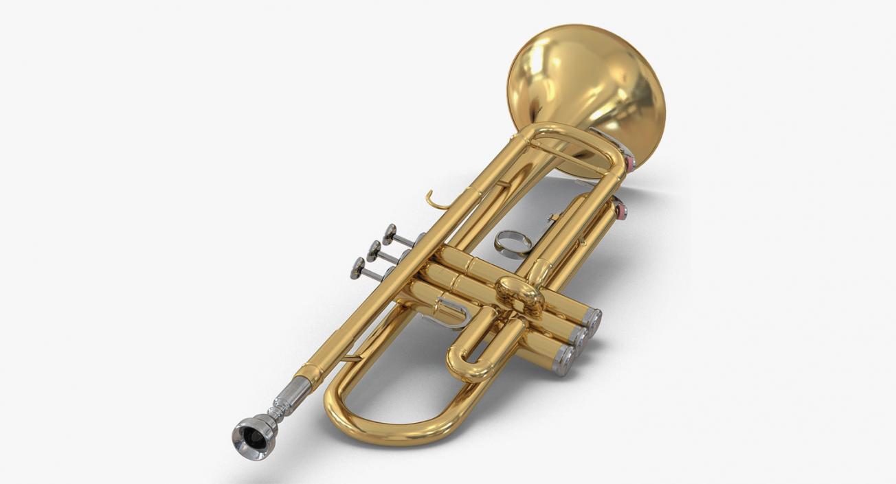 Wind Instruments 3D Models Collection 4 3D model