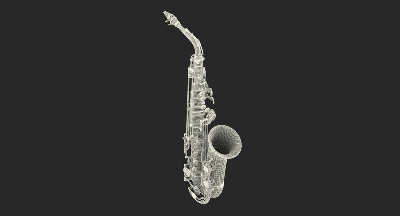 Wind Instruments 3D Models Collection 4 3D model