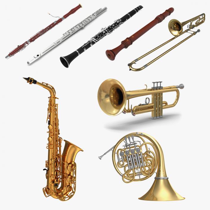 Wind Instruments 3D Models Collection 4 3D model