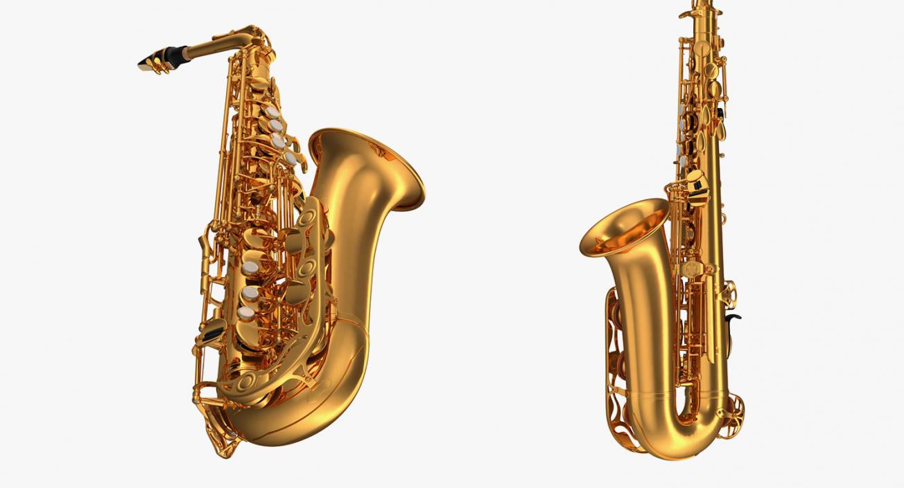 Wind Instruments 3D Models Collection 4 3D model