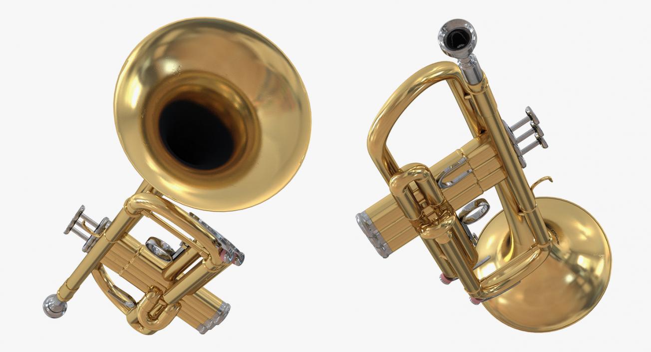 Wind Instruments 3D Models Collection 4 3D model